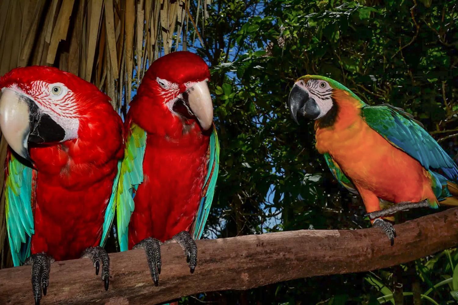 Casa El Paraiso, Eco Lodge Samana Eksteriør billede